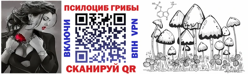 omg   Спасск-Дальний  Галлюциногенные грибы мухоморы  наркошоп 