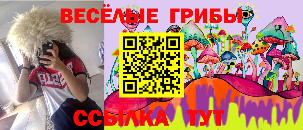 Галлюциногенные грибы Psilocybine cubensis Спасск-Дальний